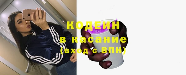 сатива Аркадак