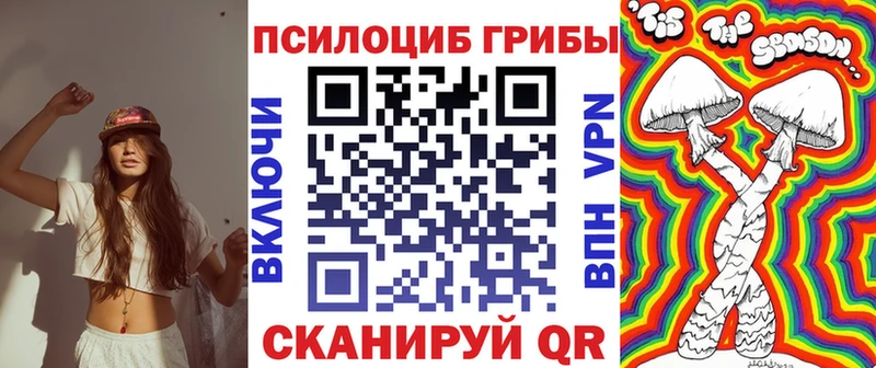 как найти закладки  Прохладный  Галлюциногенные грибы Cubensis 